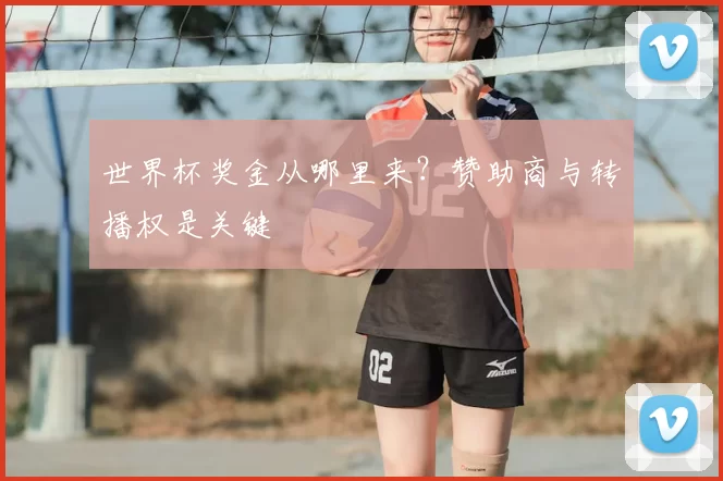 世界杯奖金从哪里来?赞助商与转播权是关键