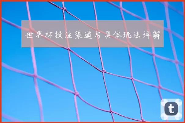 世界杯投注渠道与具体玩法详解