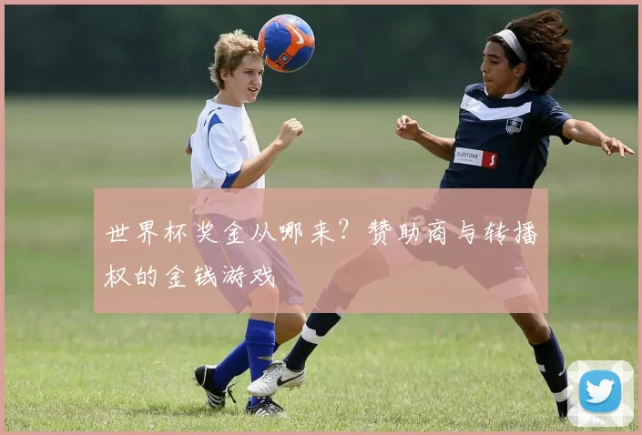世界杯奖金从哪来?赞助商与转播权的金钱游戏