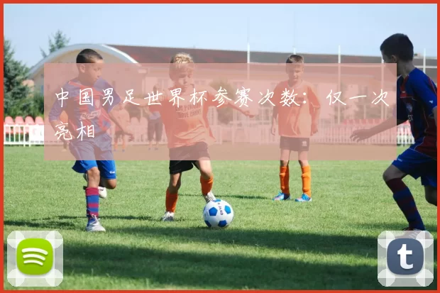 中国男足世界杯参赛次数:仅一次亮相