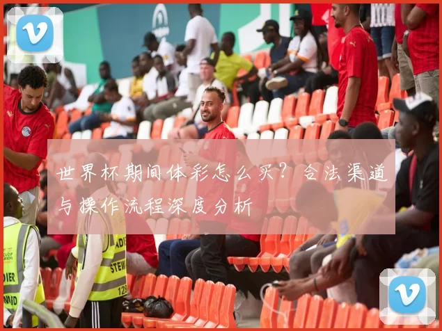 世界杯期间体彩怎么买？合法渠道与操作流程深度分析