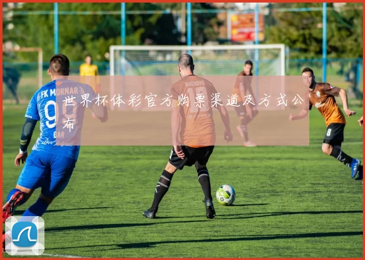 世界杯体彩官方购票渠道及方式公布
