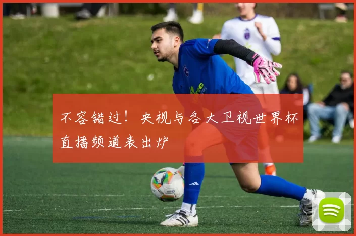 不容错过!央视与各大卫视世界杯直播频道表出炉