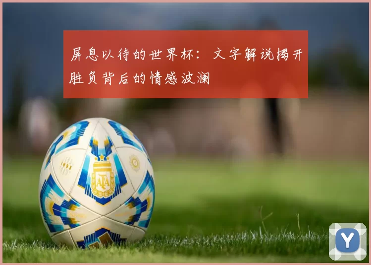 屏息以待的世界杯:文字解说揭开胜负背后的情感波澜