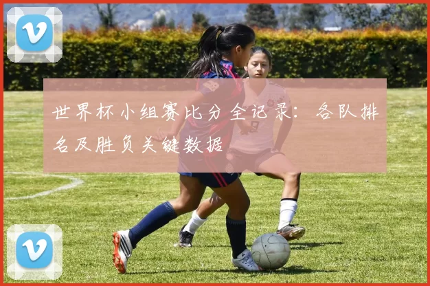 世界杯小组赛比分全记录：各队排名及胜负关键数据