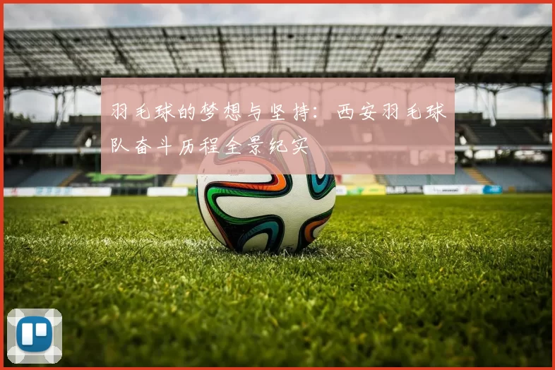 羽毛球的梦想与坚持：西安羽毛球队奋斗历程全景纪实