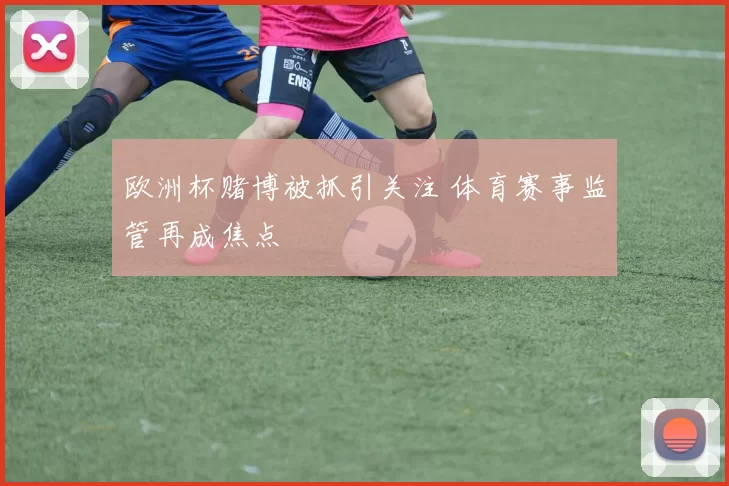 欧洲杯赌博被抓引关注 体育赛事监管再成焦点