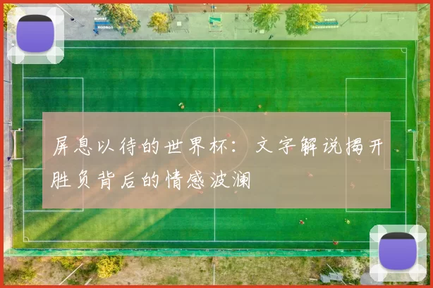 屏息以待的世界杯:文字解说揭开胜负背后的情感波澜